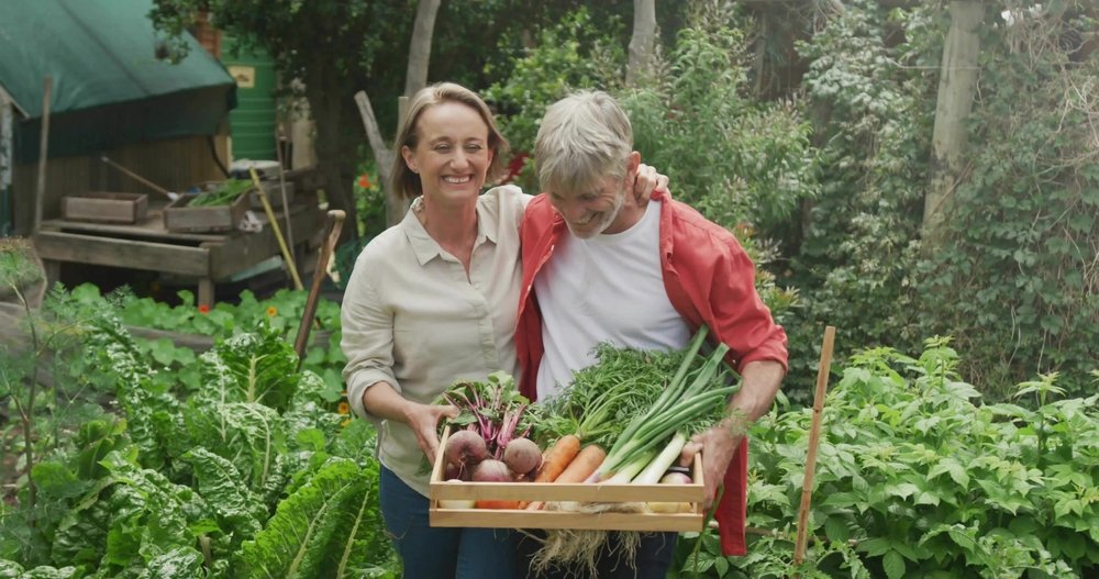 Holding,Wooden,Crate,With,Carrots,,Beets,And,Greens,,Couple,Standing